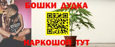 мдпв Татарск