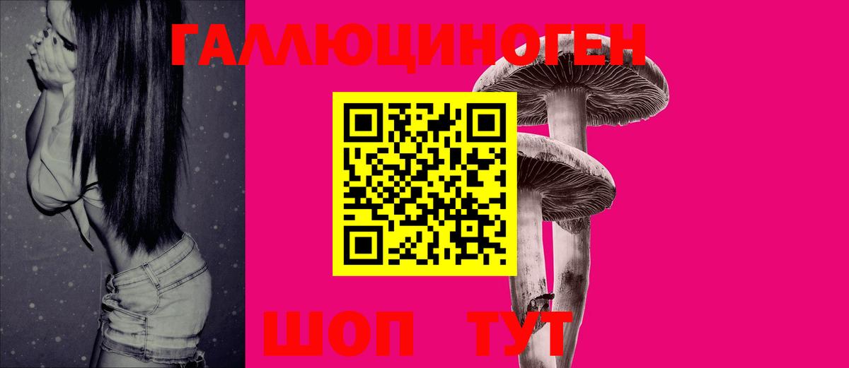 Сокол  Псилоцибиновые грибы мицелий  Псилоцибиновые грибы Magic Shrooms  Вход с VPN 