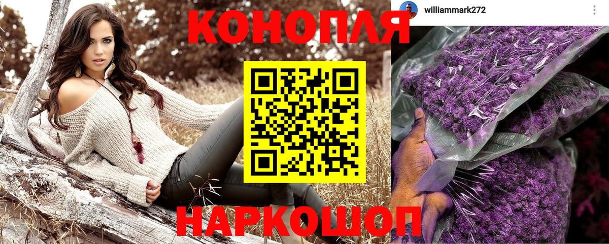 Бошки Шишки марихуана  Вход с VPN  МАРИХУАНА OG Kush  Бошки Шишки VHQ  Сокол 